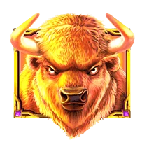 Buffalo symbol